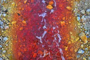 Red polluted water stream in Geamana, Rosia Montana, Romania