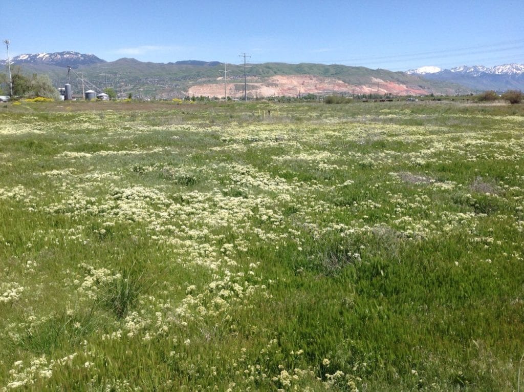 land surveys