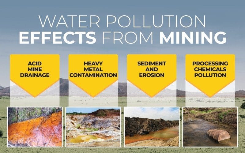 water pollution effects on animals and plants