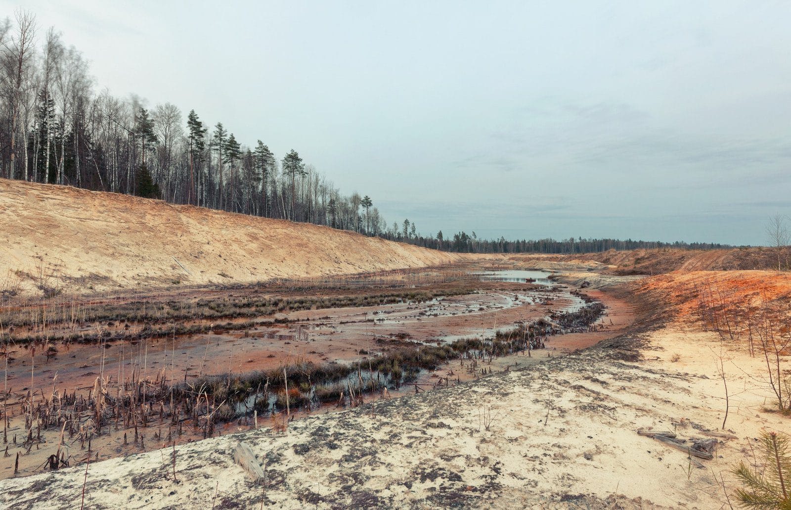Landscape old waterlogged sand quarry. Environmental pollution