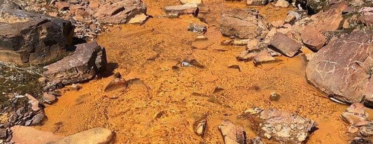 30152883588_7c51505aec_c